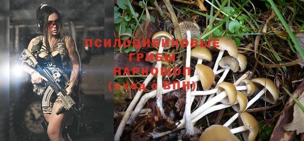 тгк Богданович