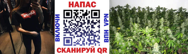 Марихуана MAZAR  Тихорецк 